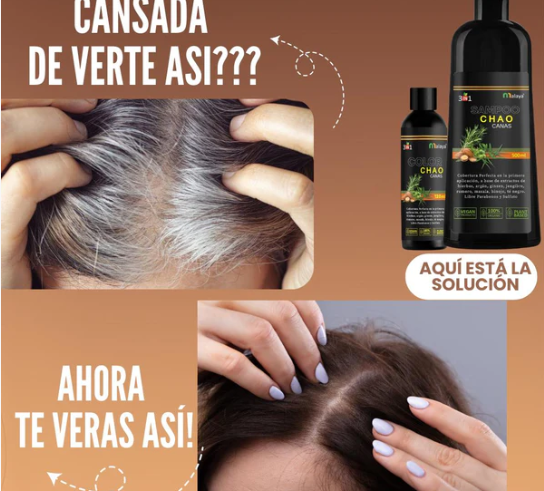 Chao Canas® | Shampoo Cubra Canas 3 en 1 de 500 ML + Obsequio Chao fri ...