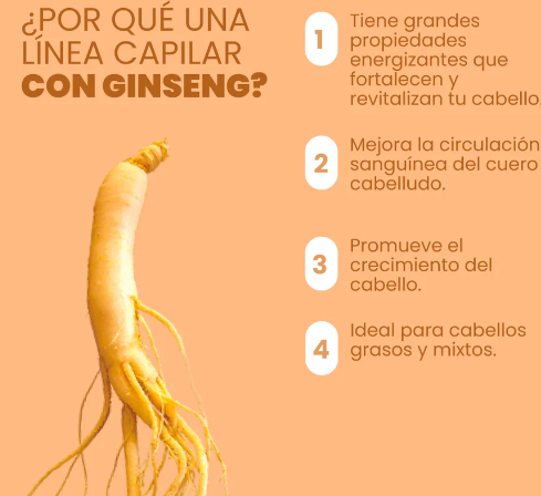 SHAMPOO ANTICAIDA GINSENG 🌿+ Cepillo Masajeador de obsequio🎁